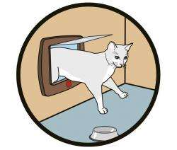 Karlie CAT FLAP Katzentür - Weiß