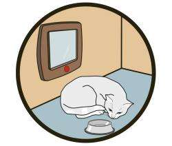 Karlie CAT FLAP Katzentür - Grau