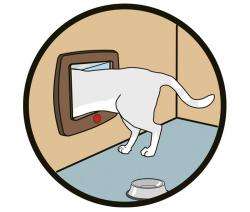 Karlie CAT FLAP Katzentür - Grau