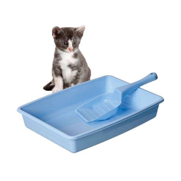 Karlie Kitty Kidz Starter-Set - Hellblau