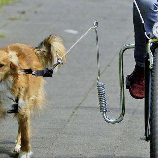 Karlie Doggy Guide Führhalter für Fahrräder