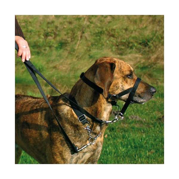 Trixie Top Trainer Ausbildungsgeschirr - max. 15 cm