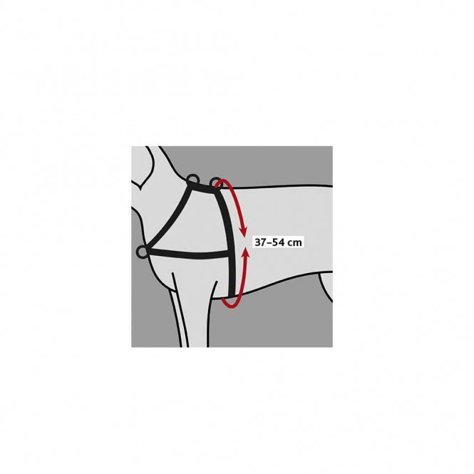 Trixie Trainingsgeschirr Lead'n'Walk Soft - XS-S