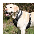 Trixie Flash Softgeschirr - L-XL: 65-100 cm