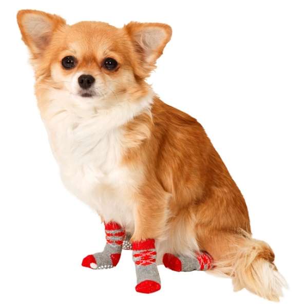 Karlie Doggy Socks Hundesocken 4er Set - Rot/Grau - L