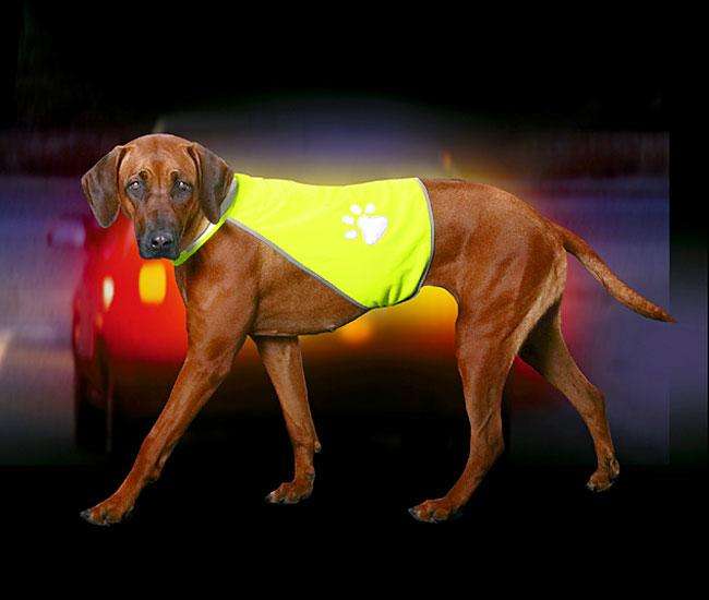 Karlie SAFETY-DOG Sicherheitsweste - Gelb - L