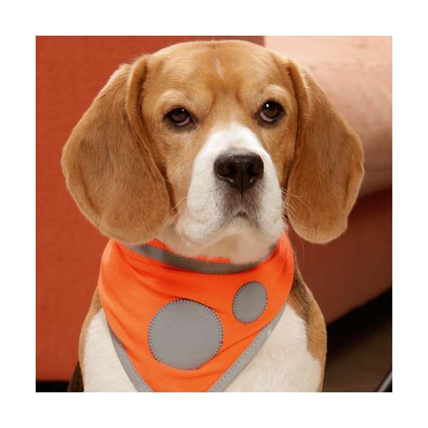 Karlie Safety Dog Sicherheitshalstuch - Orange - 48-60cm / 30mm