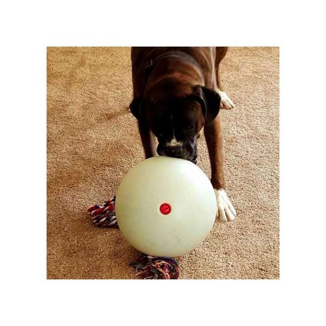 Tuggo Ball - 10 Inch (ca. 25 cm) - von Tigern getestet! - Glow in the Dark