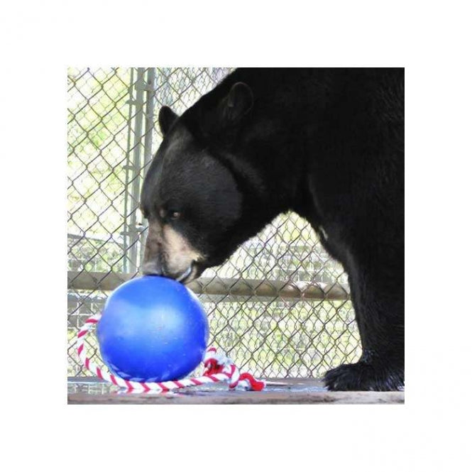 Tuggo Ball - 10 Inch (ca. 25 cm) - von Tigern getestet! - Glow in the Dark