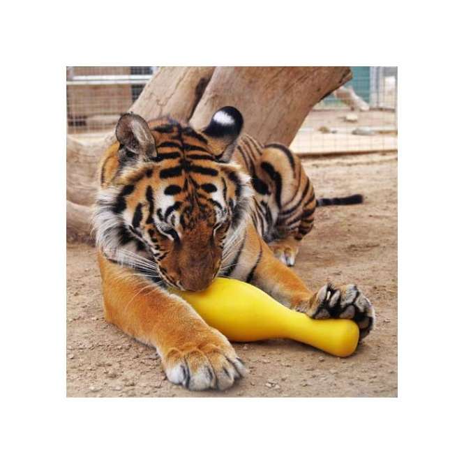 Tuggo Shake N Fetch - Medium - von Tigern getestet! - Pink