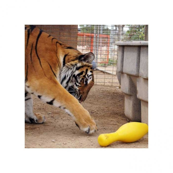 Tuggo Shake N Fetch - Medium - von Tigern getestet! - Rot