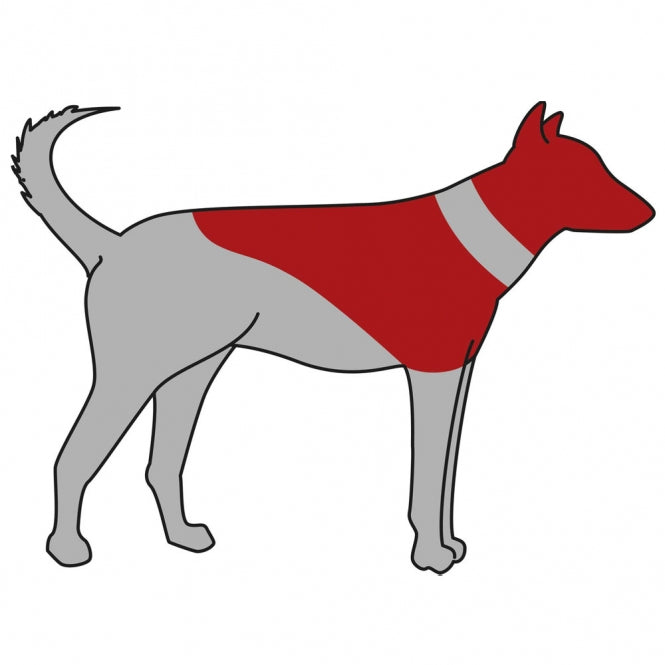 Trixie Schutzkragen, aufblasbar - L-XL