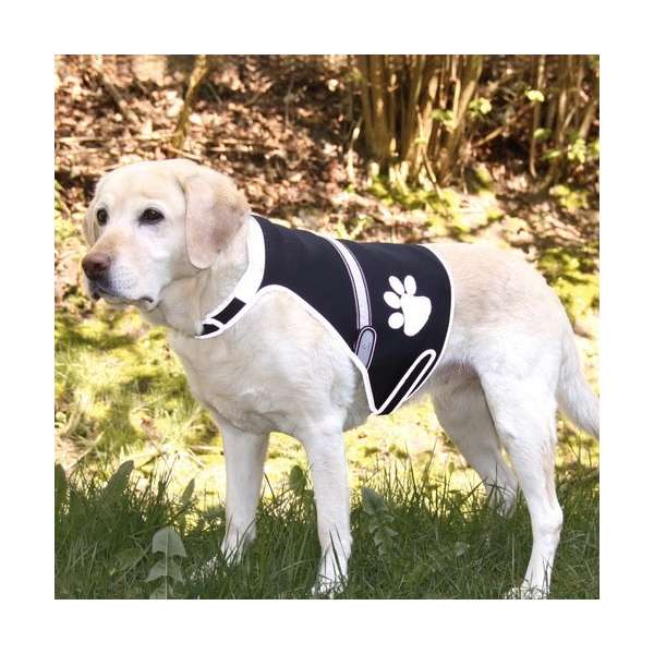 Trixie Flash Sicherheitsweste für Hunde - L