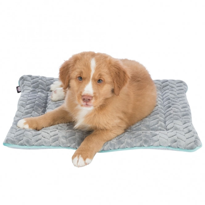 Trixie Junior Liegematte - 50 × 40 cm