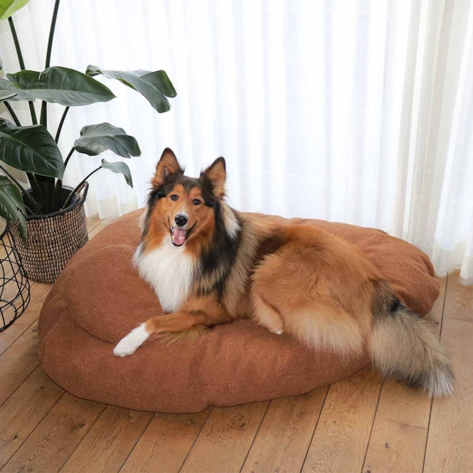 D&D Kissen Pebble - orange - 104x69x26cm