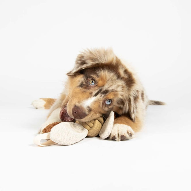 D&D Hundespielzeug Jule - sand - 52x10x10cm