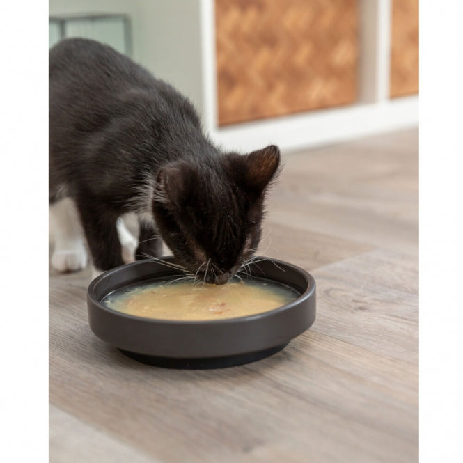 Trixie Soup mit Huhn & Lachs - 80g