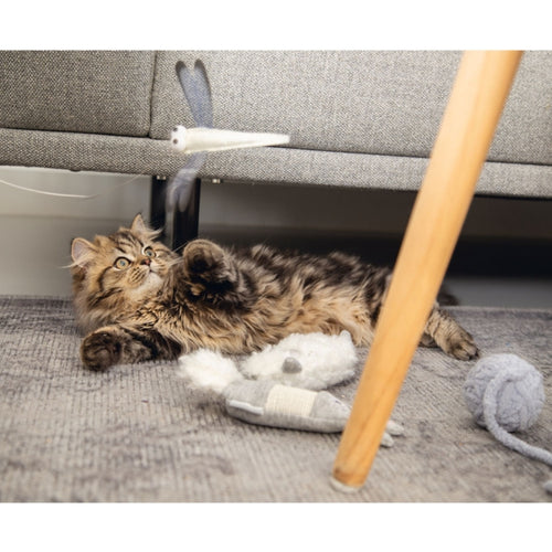 Beeztees Kitten Lama mit Gerstenschalen