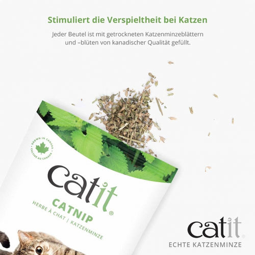 Catit Echte kanadische Katzenminze - 28g