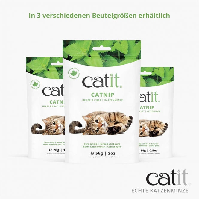 Catit Echte kanadische Katzenminze - 56g