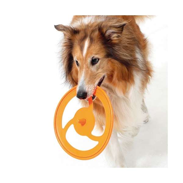 Karlie Flying Disc Frisbee - 26 cm