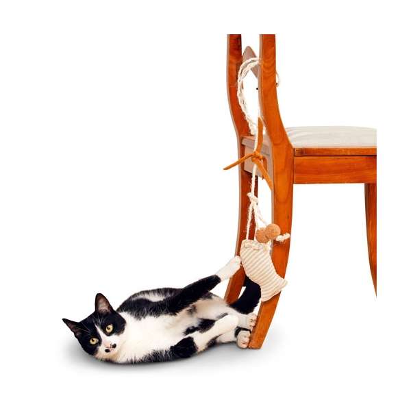 Karlie Sisal Fleety Fisch - 119 cm