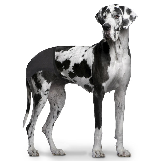 Duvoplus Schutzhöschen - Schwarz - 18-23cm