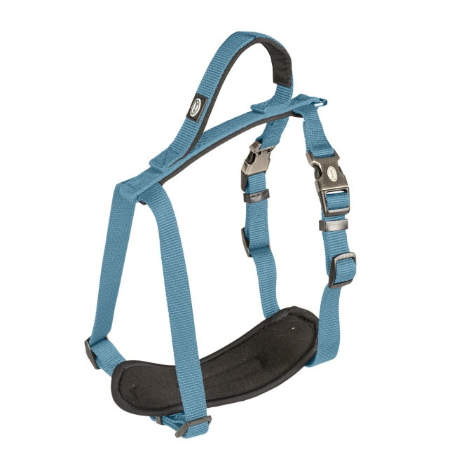 Duvoplus EXPLOR North Geschirr - Petrolblau - 80-100cm/25mm
