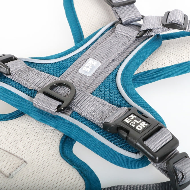 Duvoplus EXPLOR Ultimate Fit No-Pull-Geschirr - petrol blue - S - 35-45cm - 40-52cm