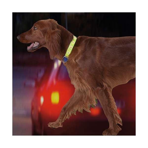 Karlie Safety Light - blinkendes Sicherheitshalsband - XL