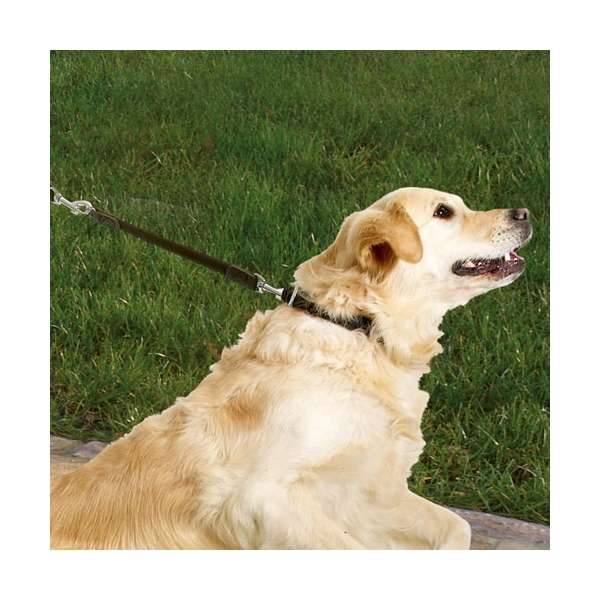 Karlie Protector Plus Hundebremse - 25mm/45cm