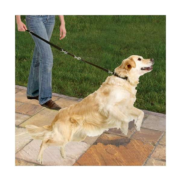 Karlie Protector Plus Hundebremse - 20mm/35cm