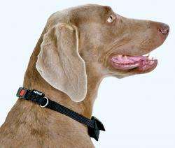 Karlie TOM DOG Halsband und Leine in einem - 45-60 cm