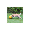 Kerbl Hundespielball Ø 30cm