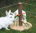 Kerbl Futterbaum