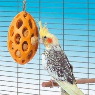 Karlie BOOMER Bird NUT CASE