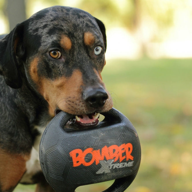 Bomber Xtreme by Zeus - 15 cm
