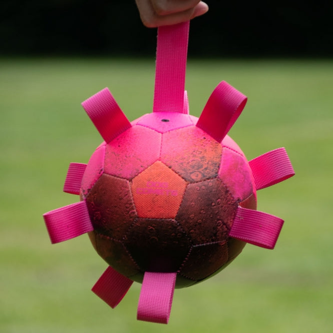 Dog Comets Ball Hypernova - Orange