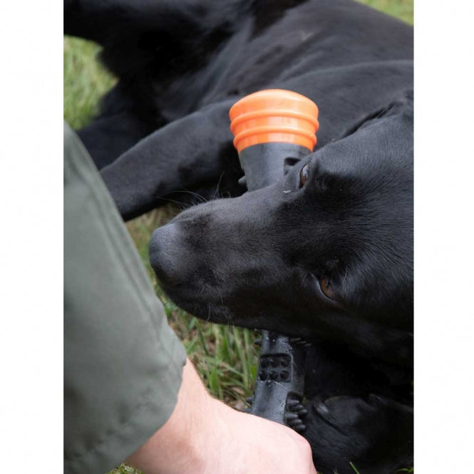 Dog Comets Meteor Wurfstock - Orange / L