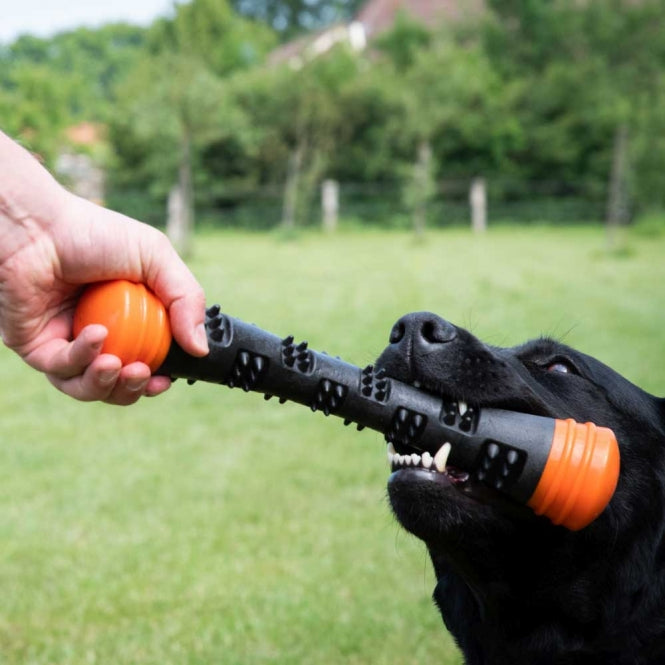 Dog Comets Meteor Wurfstock - Orange / L