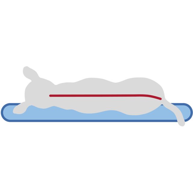 Trixie Vital Kissen Bendson - oval - 80 × 55 cm