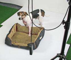Pet-Star Bett/Kissen MONTANA, 72 cm - Beige