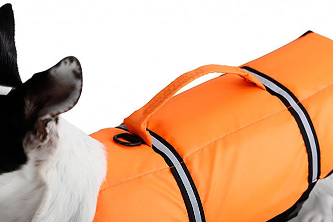 Kerbl Hunde-Schwimmweste - 55-75 cm / 44 cm