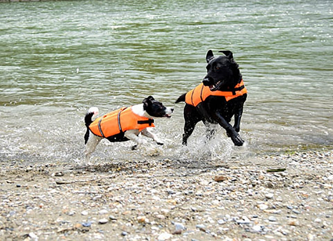 Kerbl Hunde-Schwimmweste - 55-75 cm / 44 cm