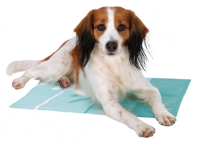 Trixie Kühlmatte, Mint - 50 x 90 cm