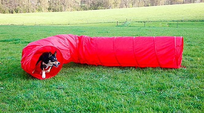 Kerbl Dog Agility Tunnel - 5 m