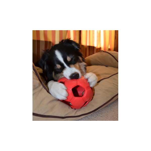 PETSPORT Turbo Kick Soccer Ball - 15 cm - Grün