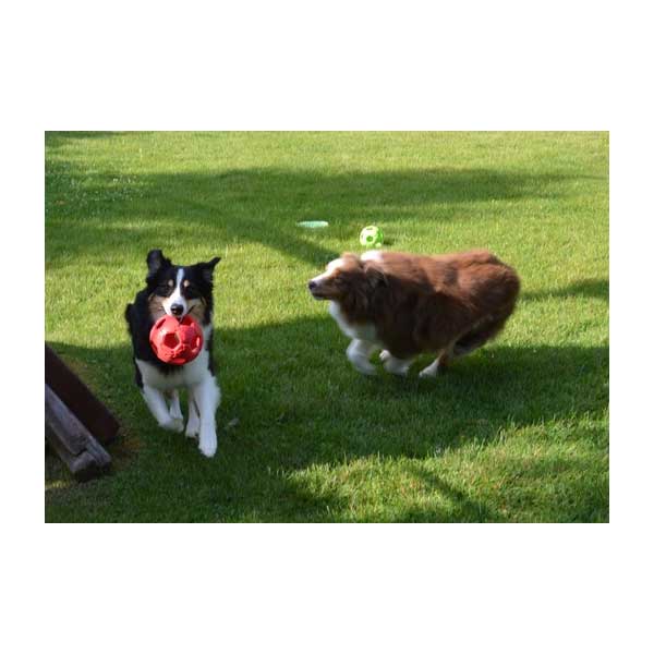 PETSPORT Turbo Kick Soccer Ball - 15 cm - Rot