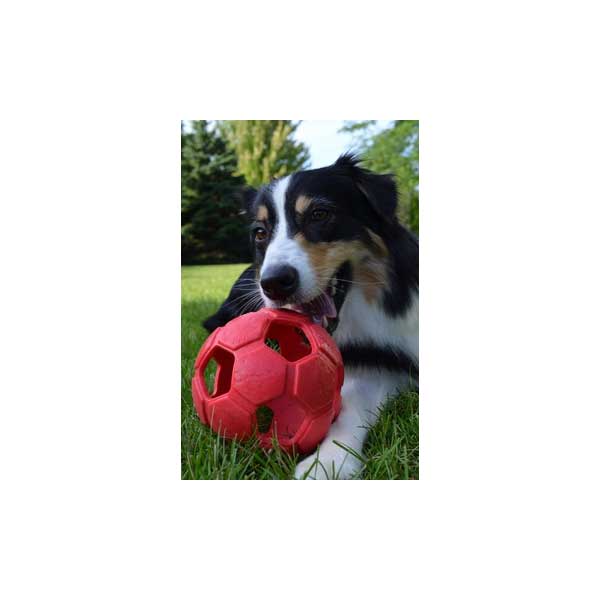 PETSPORT Turbo Kick Soccer Ball - 15 cm - Rot