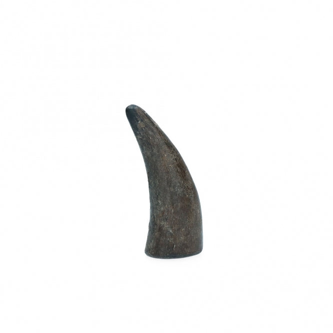 Viking whole Horn solid - S